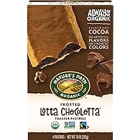 Nature's Path Organic Toaster Pastries, Frosted Chocolate, 6 Count(Pack of 12)