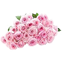 Blooms2Door PRIME NEXT DAY DELIVERY - Mother’s Day Collection - 25 Pink Roses.Gift for Birthday, Anniversary, Get Well, Easter, Valentine, Mother’s Day Fresh Flowers
