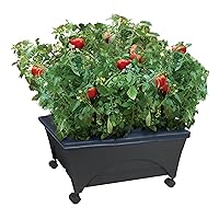 Emsco Group City Picker Raised Bed Grow Box – Self Watering and Improved Aeration – Mobile Unit with Casters