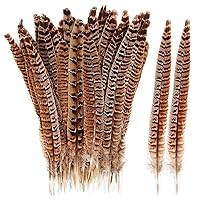 THARAHT 24pcs Female Ringneck Pheasant Tails Feathers Natural Feathers 10-12inch 25-30cm for Crafts Home Wedding Party Performance DIY Decoration Female Pheasant Feathers