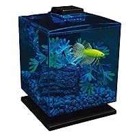 GloFish Betta Aquarium Kit 1.5 Gallons, Easy Setup and Maintenance, Perfect Starter Tank,Black/Clear