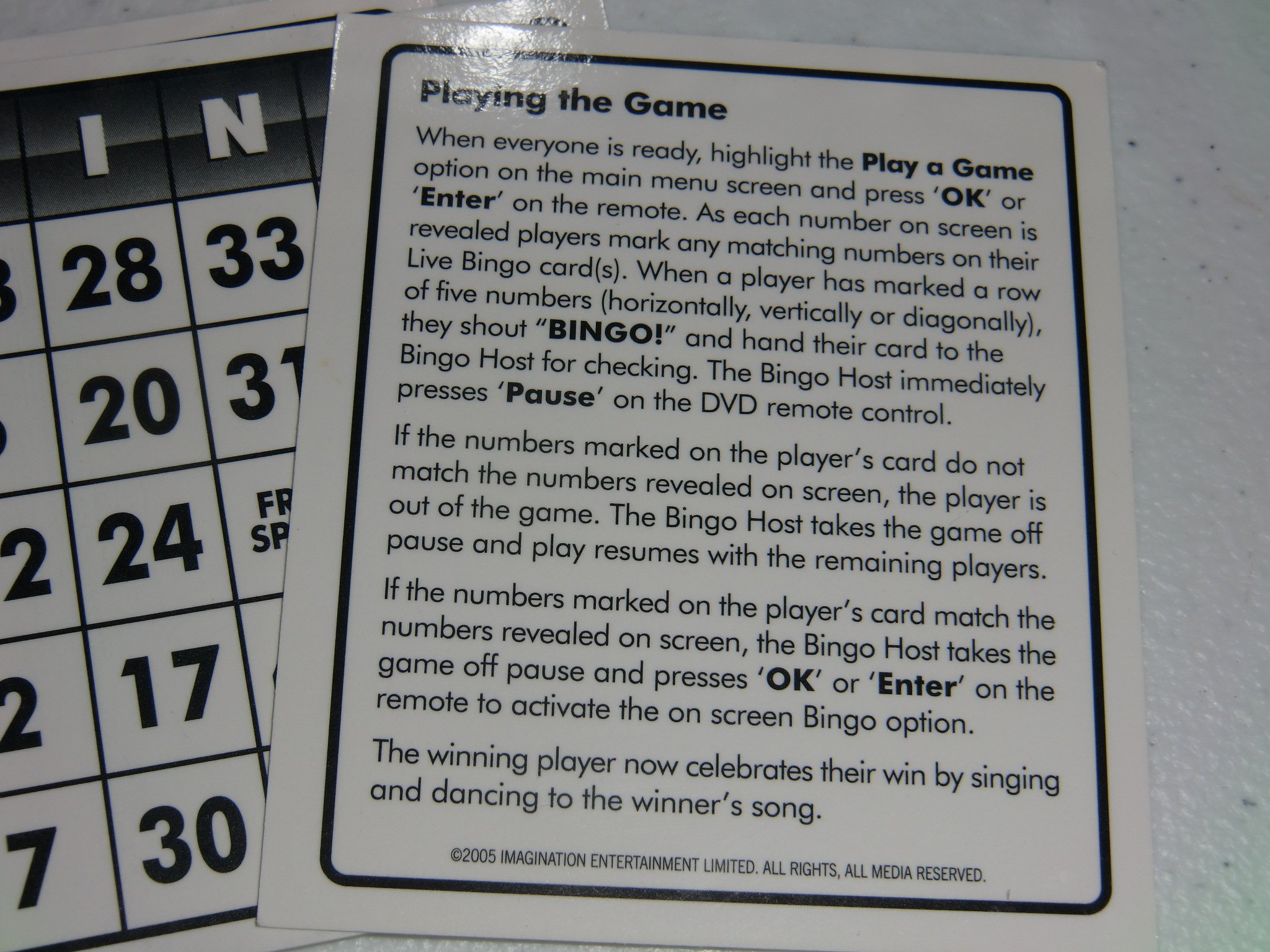 Bingo DVD Game