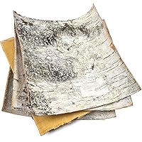 Natural White Birch Bark 4 Sheets 8