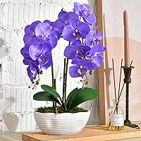 Large Artificial Potted Orchid Plant, Silk Flower Arrangement with Ceramics Vase, Purple