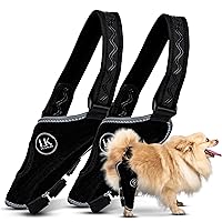 Dog Knee Brace for Torn Acl Hind Leg - Neoprene Dog Leg Braces for Back Leg with Aluminium Splints, ACL Knee Brace for Dogs with Reflective Trims (Right Leg - Small)