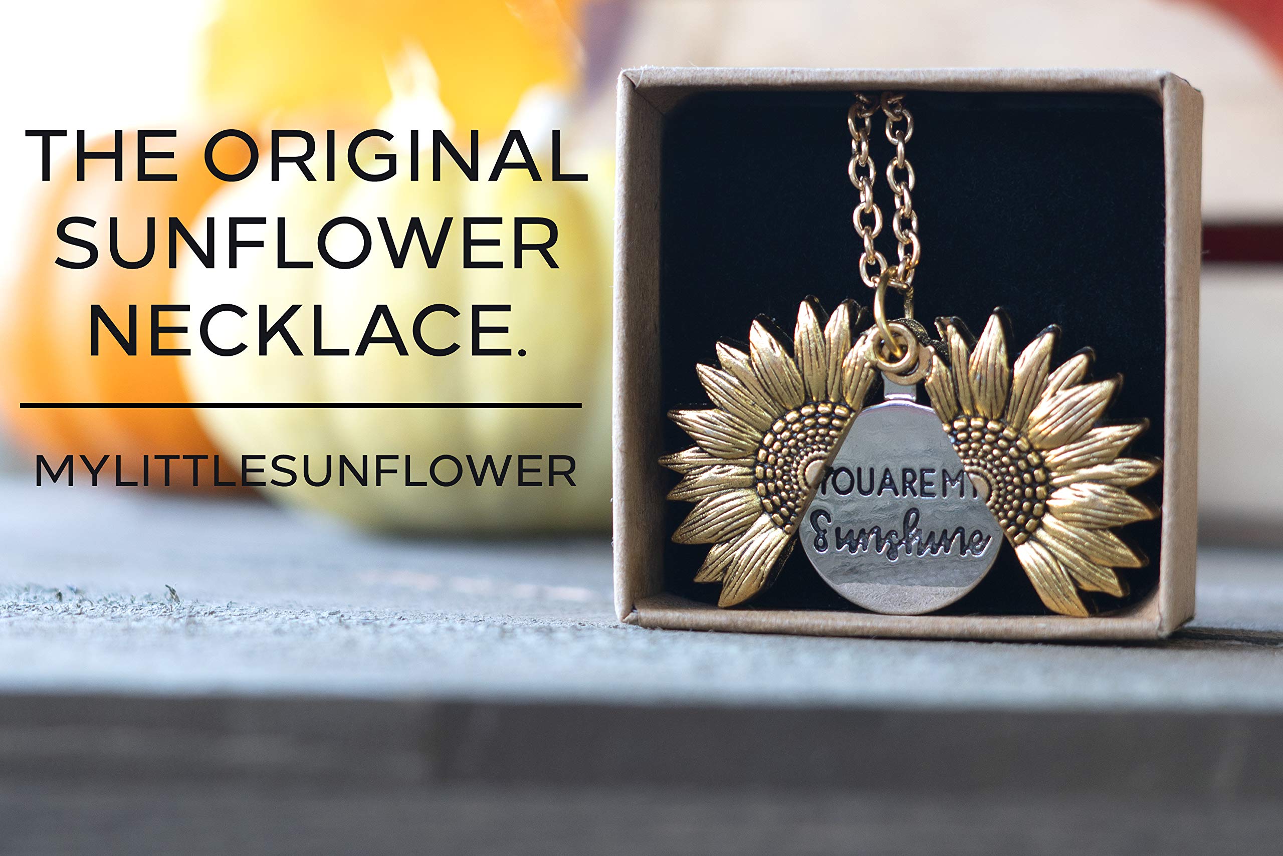 MyLittleSunflower - You are My Sunshine Necklace - Sunflower Necklace Locket with Engraved Hidden Message Pendant for Women, Mother, Daughter