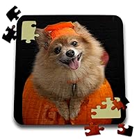 3dRose Happy Pomeranian Dog on Jack o Lantern Halloween, 3drsmm - Puzzle, 10 by 10-inch (pzl_290230_2)