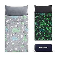 Wake In Cloud - Glow in The Dark Sleeping Bag with Pillow, Fleece Nap Mat for Toddler Kids Boys Girls, Winter Cold Weather Daycare Kindergarten Sleepover Travel Camping, Green Blue Dinosaur on Grey