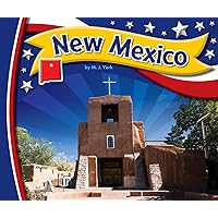 New Mexico (StateBasics) New Mexico (StateBasics) Kindle Library Binding