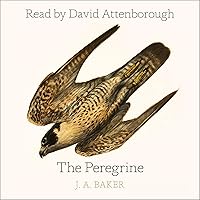 The Peregrine The Peregrine Audible Audiobook Kindle Paperback Hardcover Audio CD