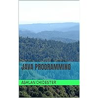 Java Programming Java Programming Kindle
