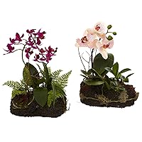 Nearly Natural Orchid Island (Set of 2)