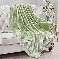 Home Soft Things Green Plain Faux Fur Throw Blanket, Sage - 50'' x 60'' Shiny Silky Smooth Soft Heavy Bed Couch Cover Warm Comfortable Cozy Elegant Plush Throw for Living Room Bedroom