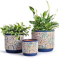 DeeCoo 3 Piece Ceramic Plant pots Indoor Pots Set with Drainage Holes, 5.7/4.7/3.5/inch, Modern Decorative pots Outdoor Plants Lilies, Cacti, Succulents, Snakes, and Bamboo (Blue)