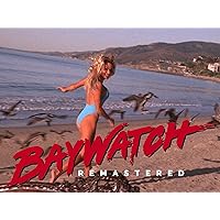 Baywatch, Season 8