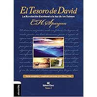 El Tesoro de David I (Spanish Edition) El Tesoro de David I (Spanish Edition) Hardcover Kindle
