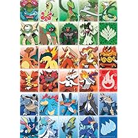 Buffalo Games - Pokemon - Final Evolution - 500 Piece Jigsaw Puzzle for Adults Challenging Puzzle Perfect for Game Nights - Finished Size 21.25 x 15.00