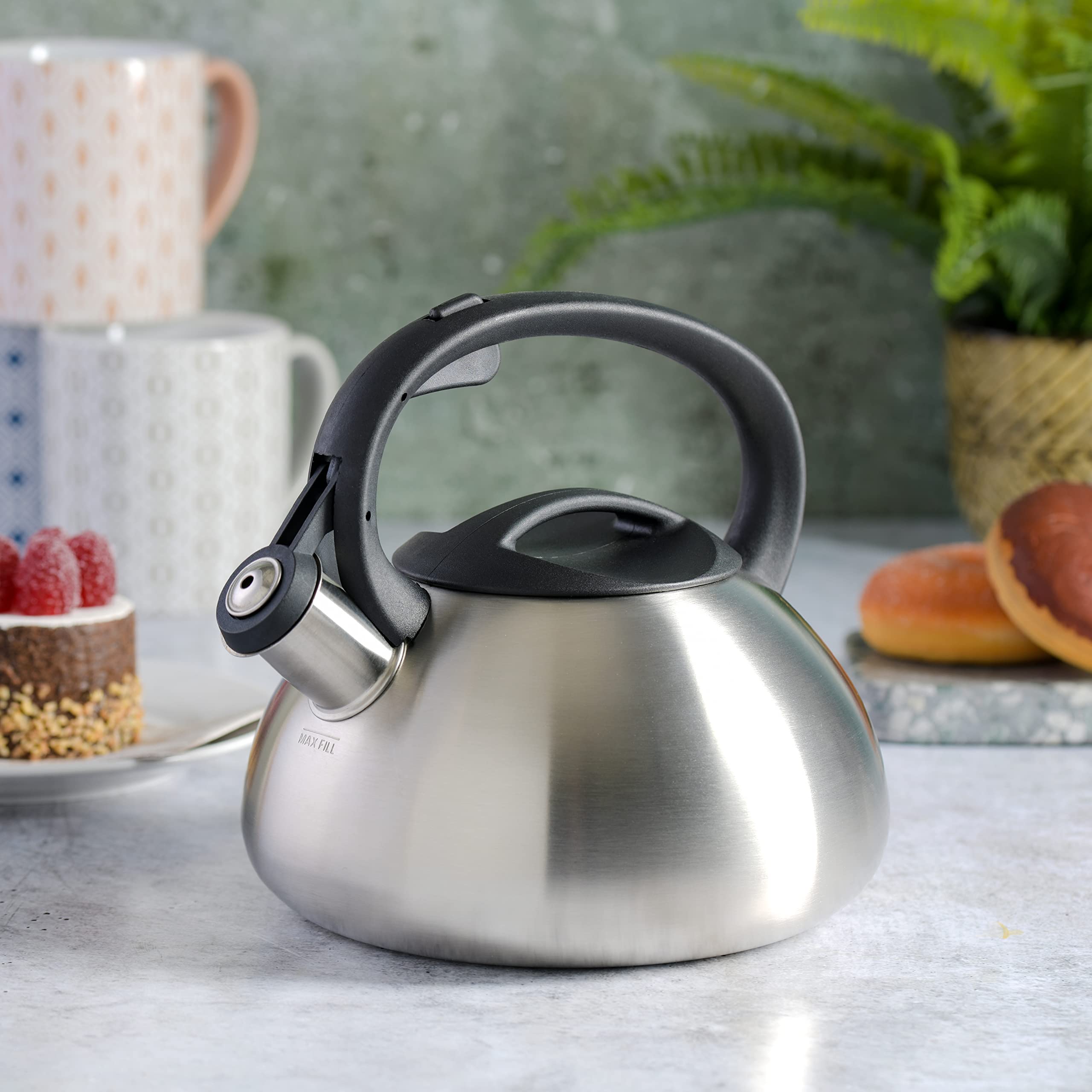 Mr Coffee Harpwell Stainless Steel Whistling Tea Kettle, 1.8-Quart, Brushed Stainless Steel