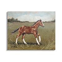 Stupell Industries Horse Foal Galloping Countryside Canvas Wall Art, Design by Sara Baker, 20 x 16, Gallery Wrapped Canvas