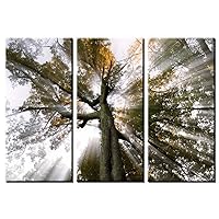 Picture Sensations Framed Huge 3-Panel Sun Tree Rays of Light Giclee Canvas Art