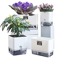 Self Watering Planters 4 Pack，Plant Pots for Indoor，Automatic Moisturizing，Transparent Square Flower Pot for Indoor and Outdoor Plants，Succulents，Violets，Ivy