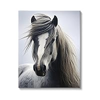 Windblown Horse Mane Canvas Wall Art by Ray Powers