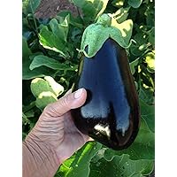 Eggplant Black Beauty 30 Seeds