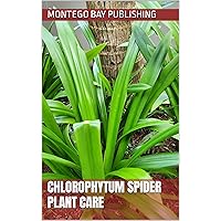Chlorophytum Spider Plant Care (Ornamental Plants)