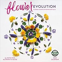 Flower Evolution 2024 Wall Calendar: Flower Essence Wisdom & Rituals by Katie Hess | 12