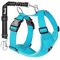 SlowTon Dog Seat Belt Harness for Car, Dog Car Harness Adjustable Mesh Breathable & Dog Seatbelt Safety Tether with Elastic Bungee for Small Medium Large Pets(Light Blue, Double Clip, S)