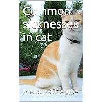 Common sicknesses in cat