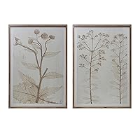 Creative Co-Op Botanical Floral Print Wood Framed Glass Wall Decor, Green and Cream, Set of 2