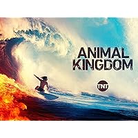 Animal Kingdom: Season 4