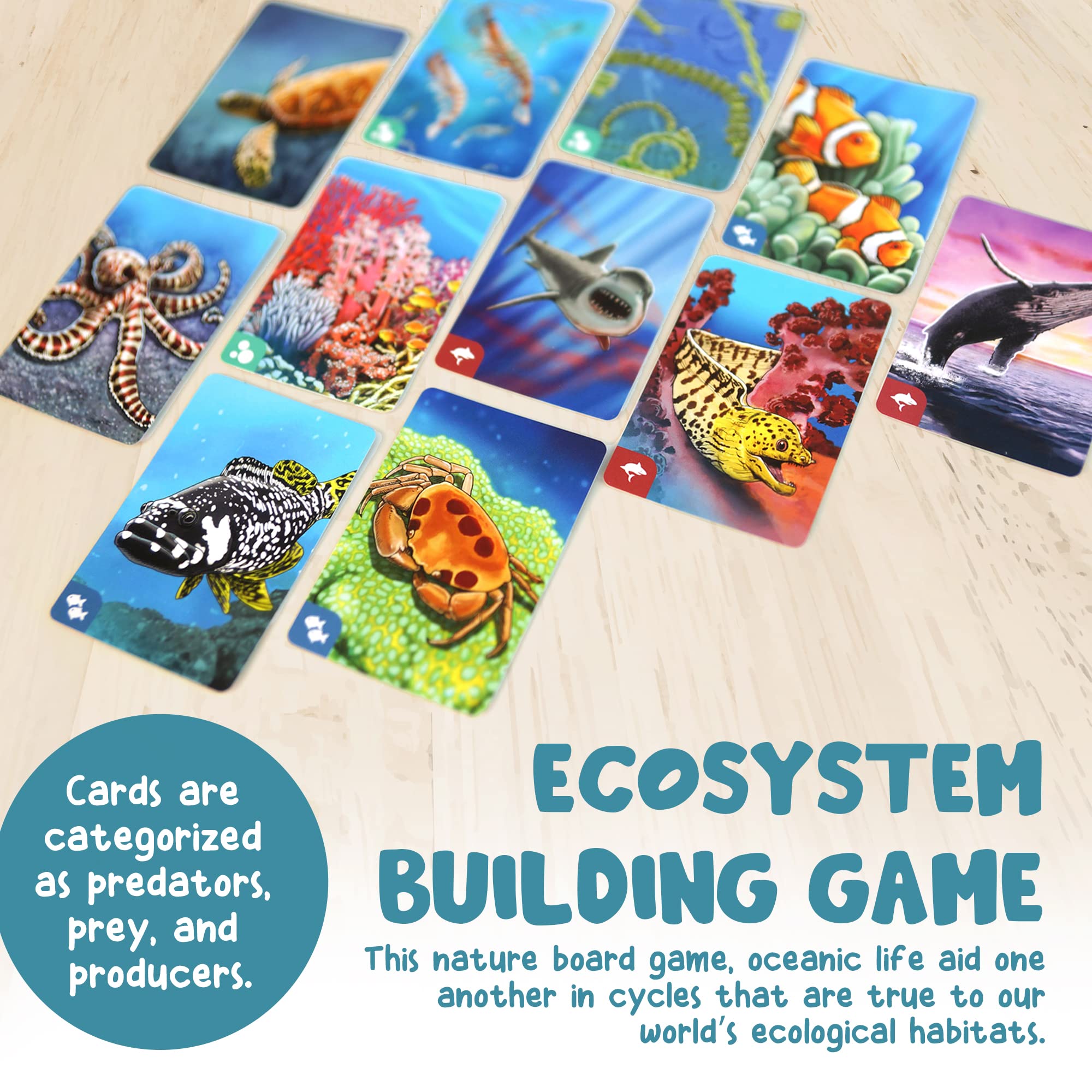 Genius Games Ecosystem: Coral Reef - A Mensa Recommended Family Card Game About Aquatic Animals, Their Habitats & Food Chain | A Light Educational Marine Biology Board Game for Kids and Families