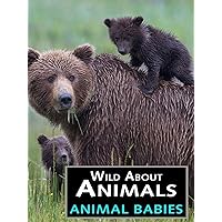 Wild About Animals: Animal Babies
