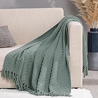 RECYCO Knit Chenille Throw Blanket, Textured Knitted Throw Blankets w/Tassels, Decorative Warm Soft Woven Throw for Couch Bed, Sage Green, 50x60 in