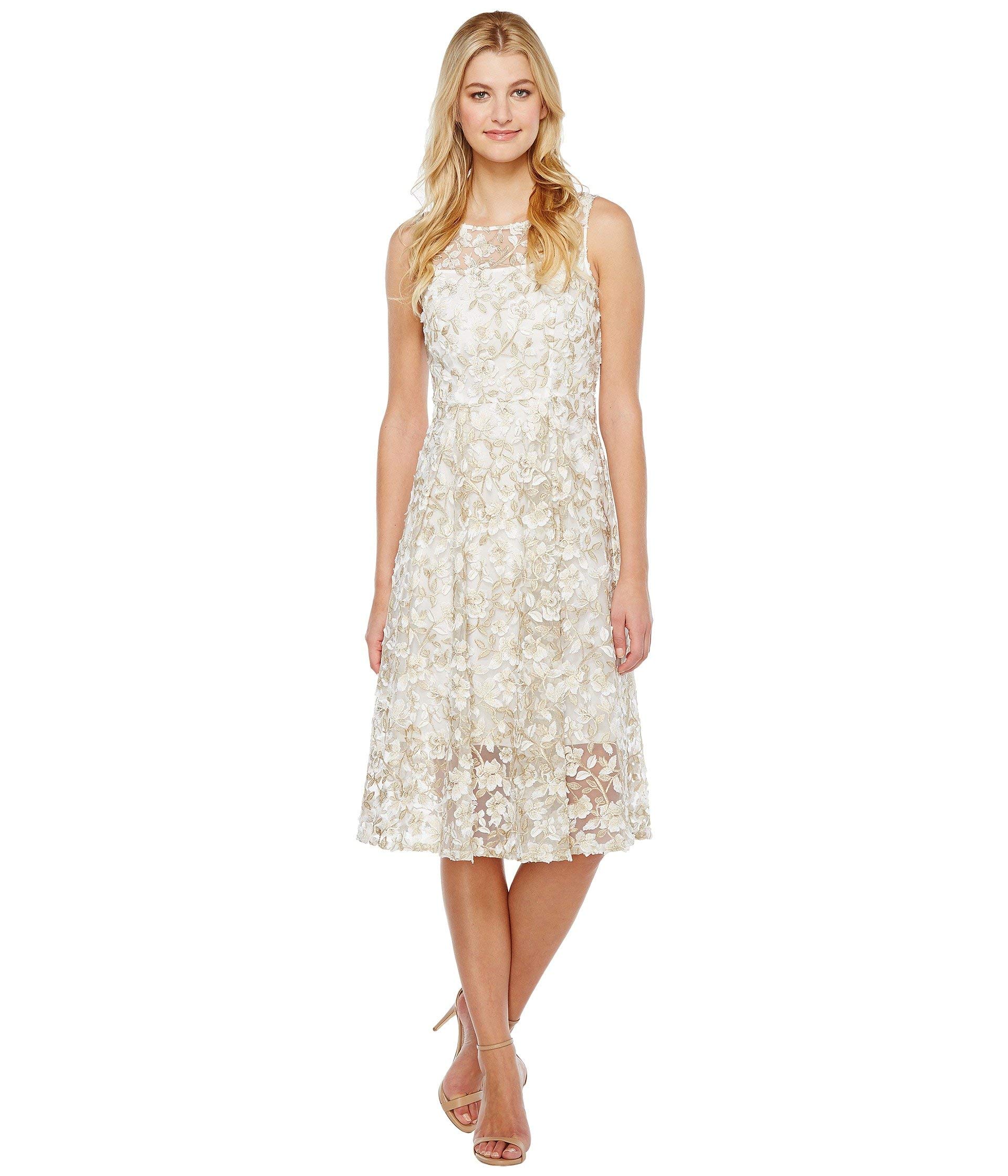 Adrianna Papell Women's One Size 3D Embroidery Fit and Flare Dress