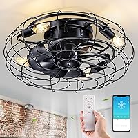 18'' Small Caged Flush Mount Ceiling Fans with Lights and Remote, Black Low Profile Rustic Farmhouse Modern Lighting & Ceiling Fan, Bladeless 6 Speed Timing for Bedroom Kitchen Dining Room