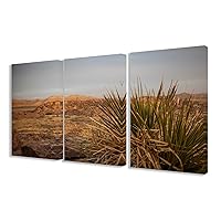 Stupell Home Décor High Desert Yucca Photograph Triptych Stretched Canvas Wall Art Set, 16 x 1.5 x 24, Proudly Made in USA