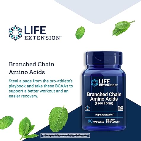Branched Chain Amino Acids - BCAA Supplement - Essential Nutrition L-Leucine, L-Isoleucine, L-Valine for Muscle Recovery Support after Workout - Gluten & GMO Free - 90 Capsules