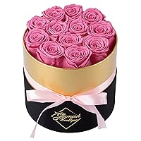 12-Piece Forever Flowers Round Box - Preserved Roses, Immortal Roses That Last A Year - Eternal Rose Preserved Flowers for Delivery Prime Mothers Day & Valentines Day - Pink