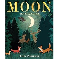 Moon: A Peek-Through Board Book Moon: A Peek-Through Board Book Board book Hardcover