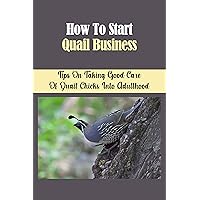 How To Start Quail Business: Tips On Taking Good Care Of Quail Chicks Into Adulthood: Raising Quail