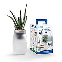 Back to the Roots Self Watering Grow Kit - Glass Hydroponic Planters for Succulents and Cacti - Hassle-Free Self-Watering System