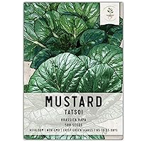 Seed Needs, Tatsoi Mustard Seeds - 500 Heirloom Seeds for Planting Brassica narinosa - Cool Weather Crop to Grow Outdoors, Non-GMO & Untreated (1 Pack)