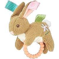 Taggies Teether Baby Rattle, 6