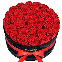Luxury Preserved Roses in Suede Box - Flower Roses Gifts for Women, Valentines Day Flowers Mothers Day Roses - Birthday Flowers for Delivery Prime - 40 Pieces (Red)