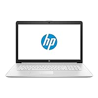 HP 17 Business Laptop - Linux Mint Cinnamon - Intel Quad-Core i5-10210U, 16GB RAM, 1TB HDD, 17.3