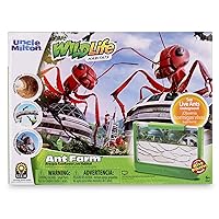 Uncle Milton Ant Farm Antopia Rainforest Ant Habitat - Observe Live Ants - STEM -Nature Learning Toy Green For 6 - 15 years