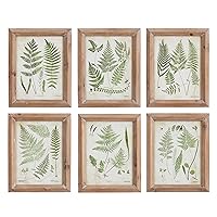 Vintage Style Wood Framed Fern Frond Prints Set of 6 Small 10 inch Botanical